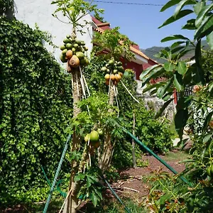 https://casa-rural-en-tenerife.in-canary-islands.com